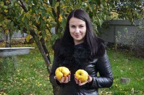 Елена Нечаева